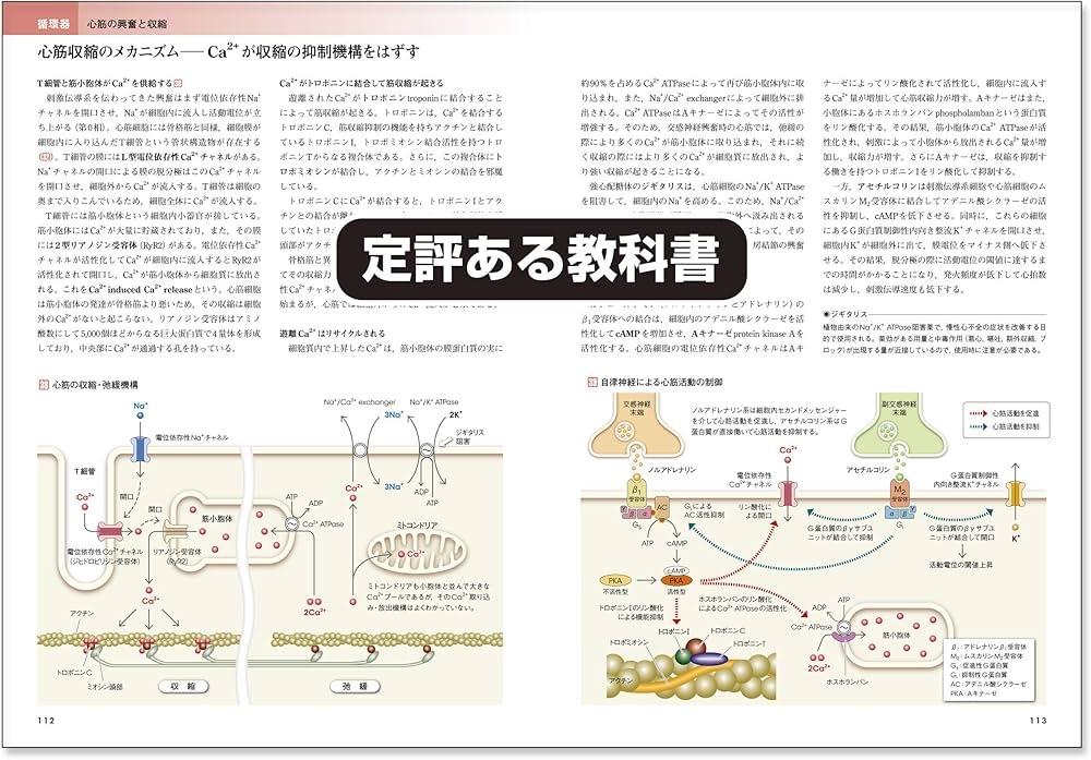 カラー図解 人体の正常構造と機能 全10巻縮刷版【電子書籍つき】改訂第