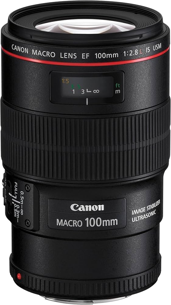Canon EF 100mm F/2.8 Prime Lens for Canon DSLR Camera (Black