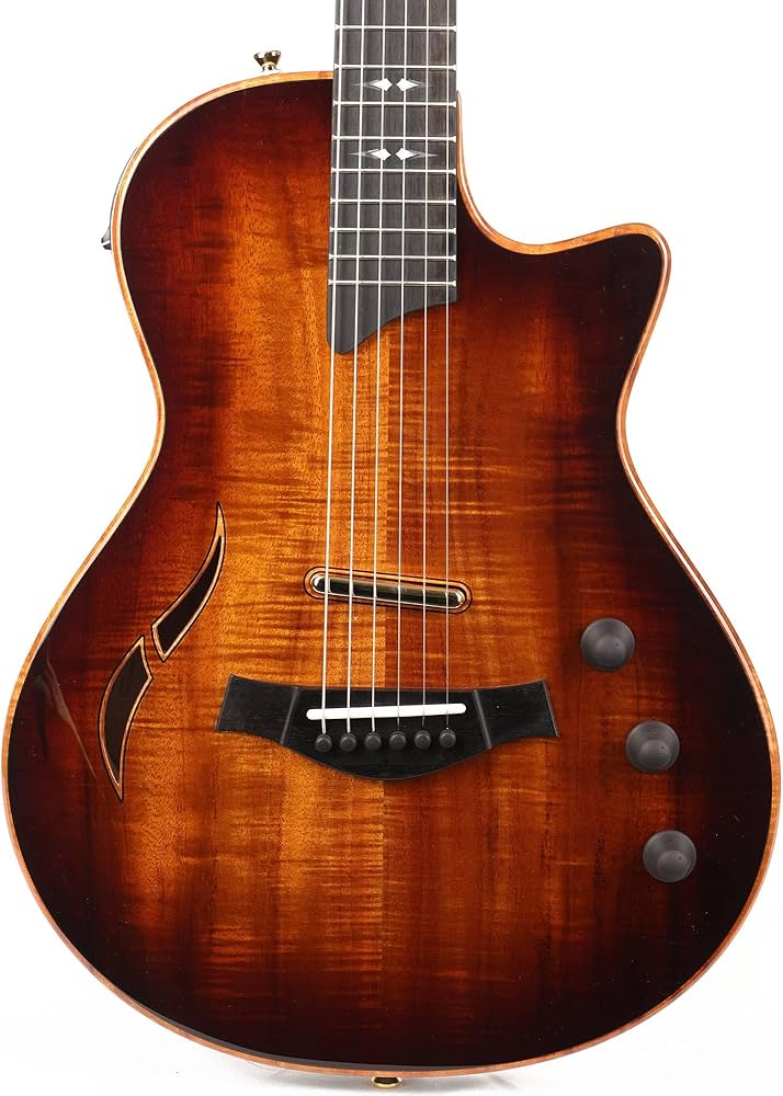 Amazon.com: Taylor T5z Custom Koa Hollowbody Electric Guitar