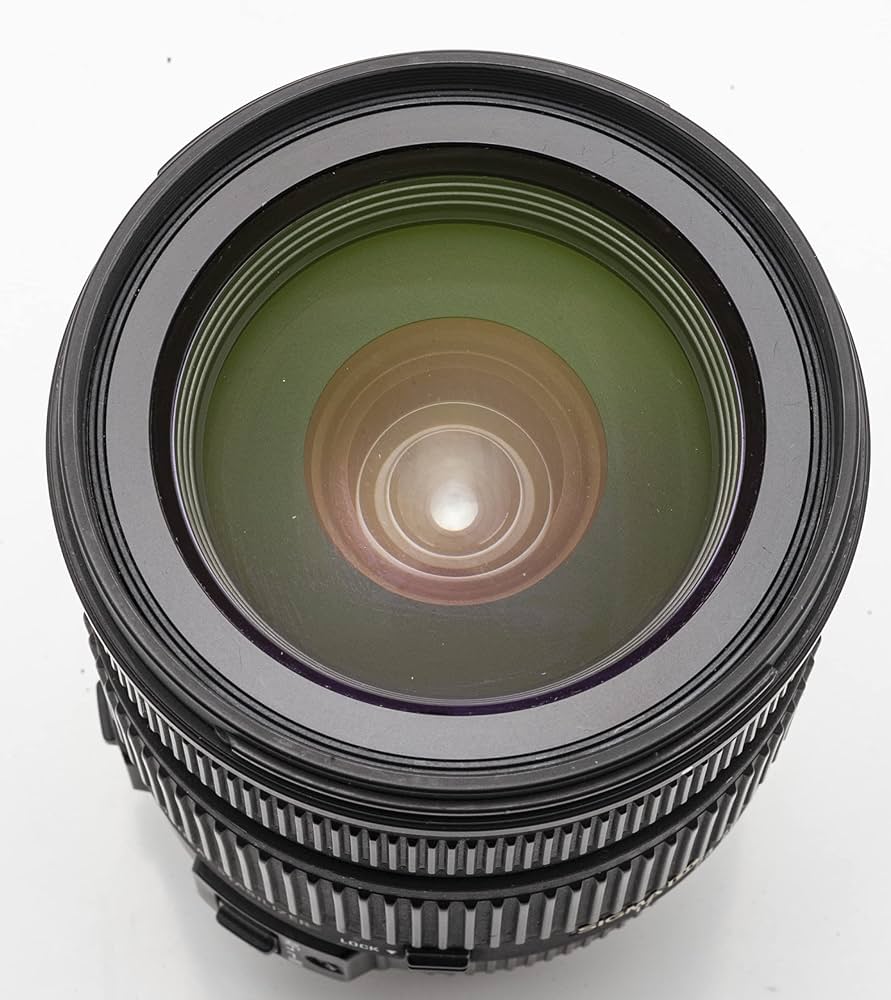 Amazon.co.jp: シグマ 17-70mm F2.8-4 DC MACRO OS HSM ソニー用