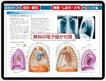 カラー図解 人体の正常構造と機能 【全10巻縮刷版】 改訂第5版 | 坂井