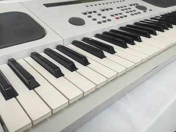 Amazon | スピーカーを搭載したオールインワンシンセ YAMAHA EOS B700