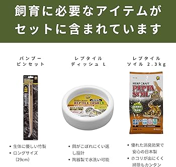 Amazon | スドー レオパ はじめて お迎え 飼育 セット キット 5点