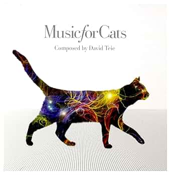 Ray°C 木ノ葉/夢猫 CD Amazon.co.jp: Music For Cats: ミュージック
