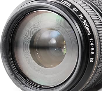 Amazon.co.jp: Canon EF 75-300mm F4-5.6 IS USM : 家電＆カメラ