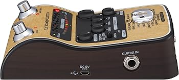 Amazon.com: Zoom AC-2 Acoustic Creator Pedal : Musical Instruments