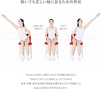 Amazon.co.jp: p!nto【正規品】 正しい姿勢の習慣用座布団 クッション