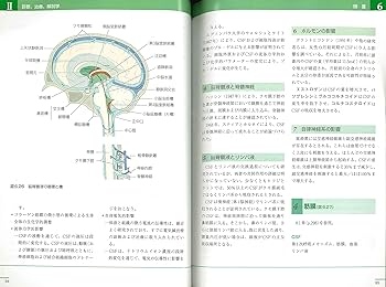 クラニオセイクラル・オステオパシー: 基礎と実践をひとつにまとめた