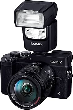 Amazon | パナソニック ミラーレス一眼カメラ ルミックス GX8 レンズ