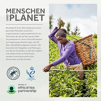 Amazon.com : Taylors of Harrogate One Cup Yorkshire Tea 600 per