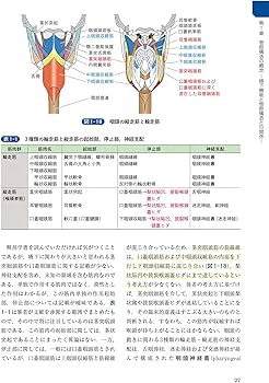 頭頸部外科診療に役立つ 頭頸部管腔構造の理解 | 西嶌 渡 |本 | 通販