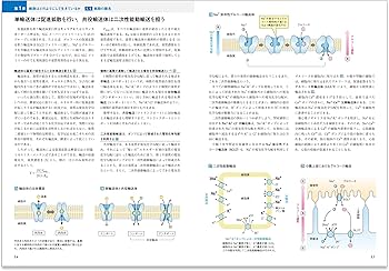 カラー図解 人体の細胞生物学【改訂第2版】電子書籍付き | 坂井 建雄
