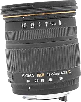 81vTLm3hZGL._AC_UF350,