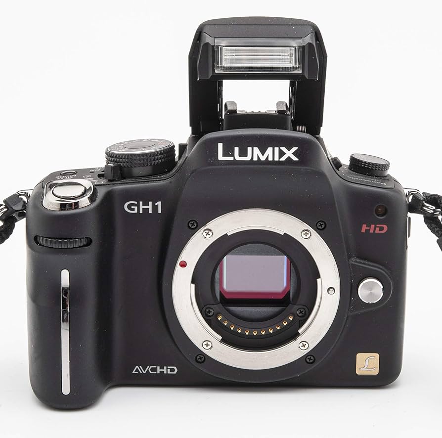Amazon.com : Panasonic Panasonic Lumix DMC-GH1K-Body 12.1