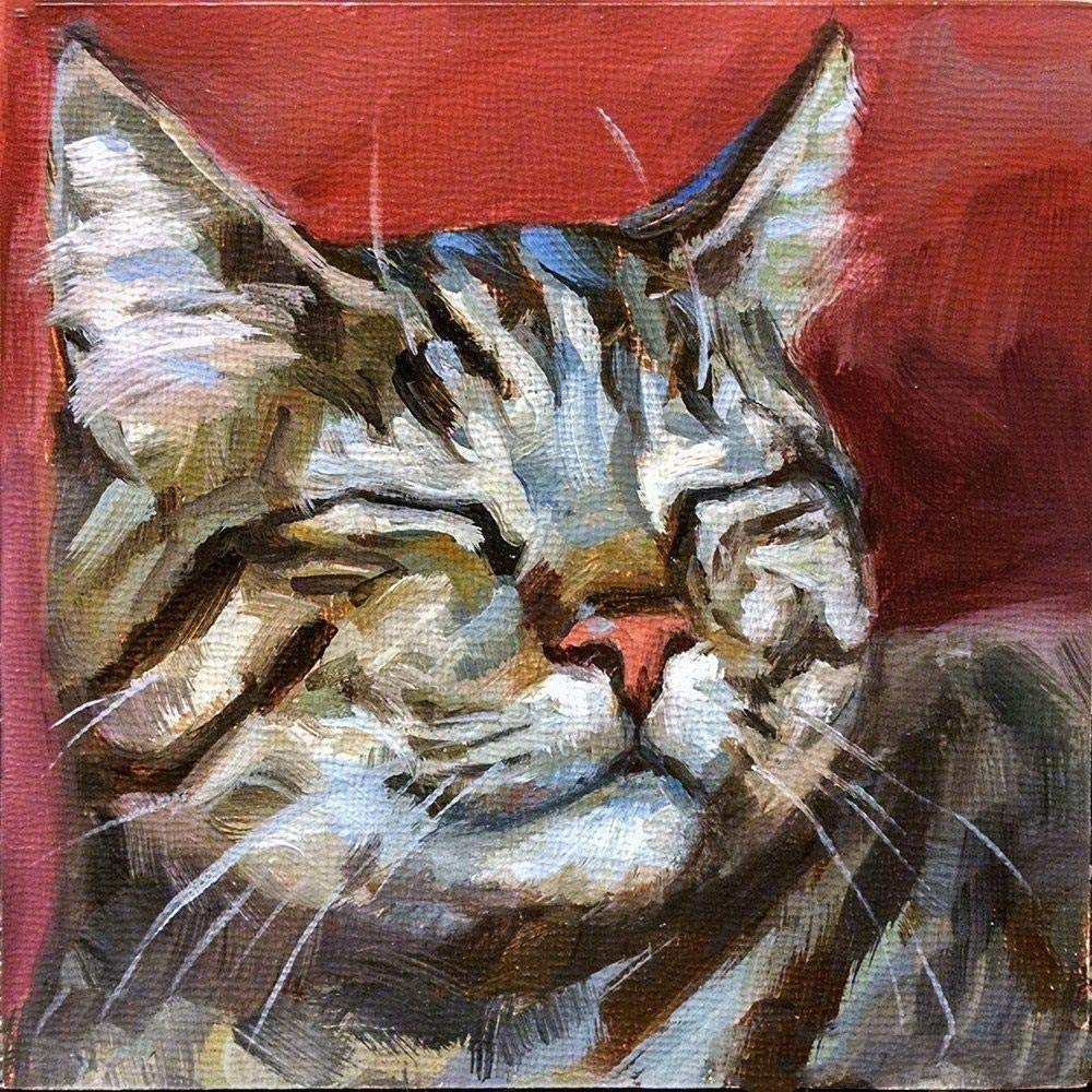 Amazon.co.jp: 油絵数字キットによる ぶち猫 絵画塗り絵大人手塗りDIY