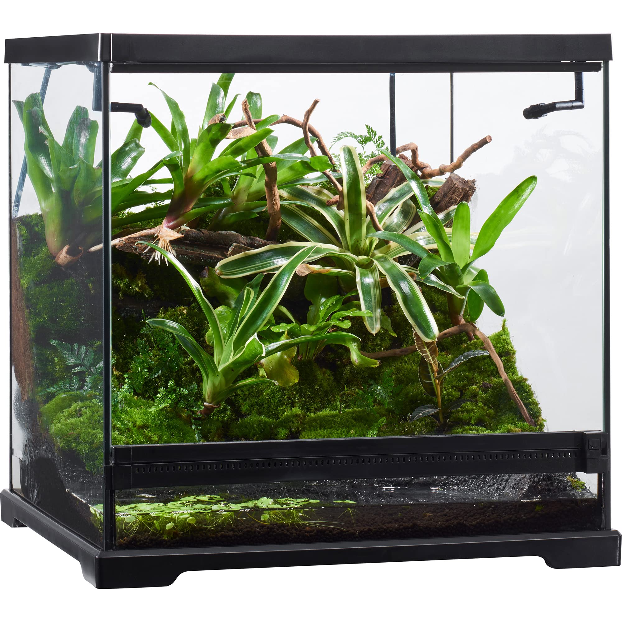 Amazon.co.jp: エキゾテラ GEX EXOTERRA グラステラリウム ドレイン