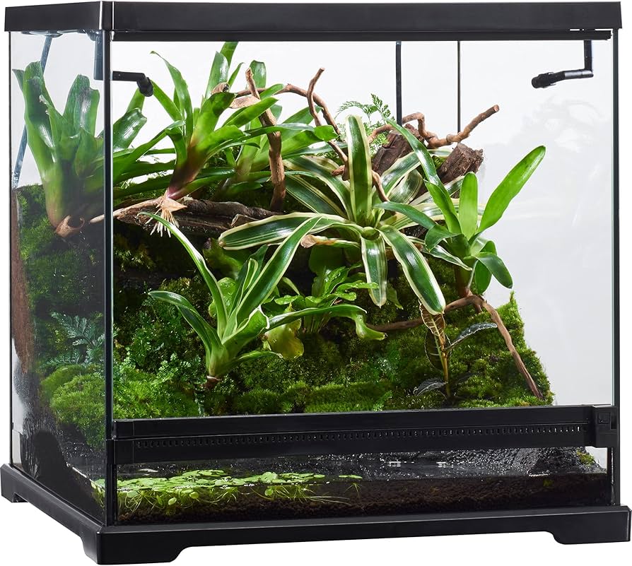 Amazon.co.jp: エキゾテラ GEX EXOTERRA グラステラリウム ドレイン
