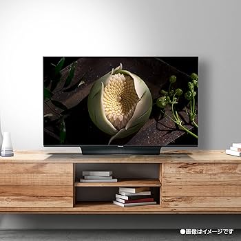 Amazon.co.jp: パナソニック 48V型 4Kダブルチューナー内蔵 有機EL