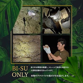 Amazon | BI-SU アナツバメの巣 洗顔石鹸 ｜ 美容成分 コラーゲン 含