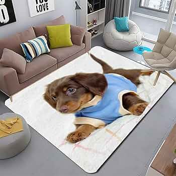 81yFjZFNCPL._AC_UF350,