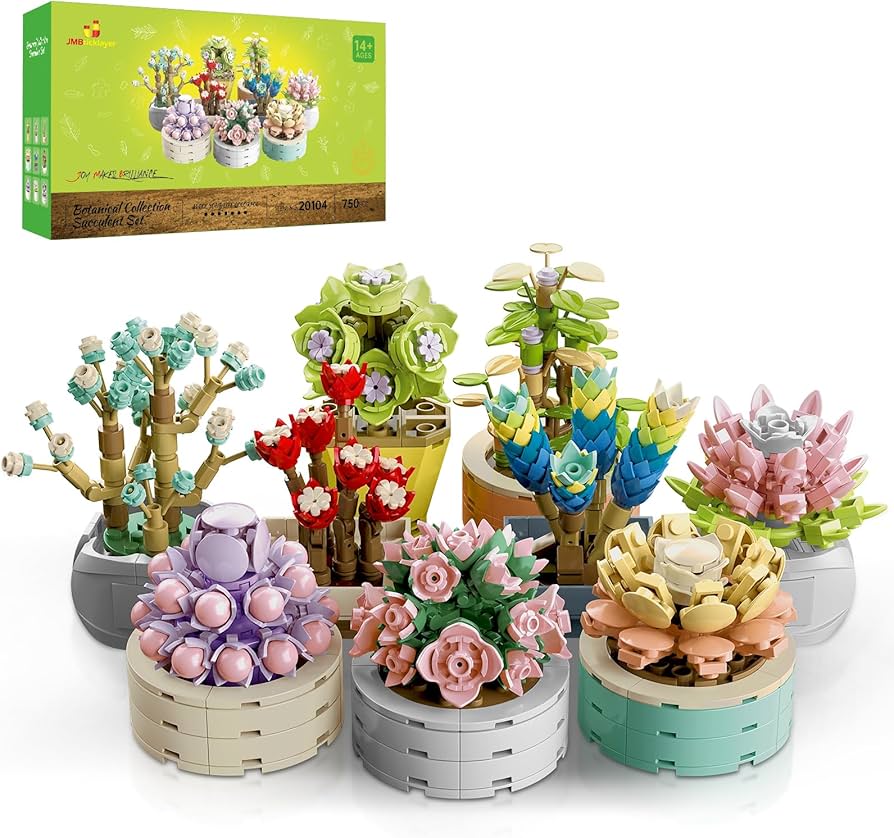 Amazon.com: JMBricklayer Flowers Succulents Botanical Valentines