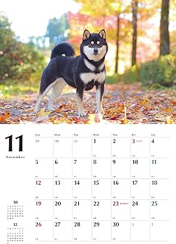Amazon.co.jp: 黒柴カレンダー2023(壁掛け) ([カレンダー]) : 蜂巣