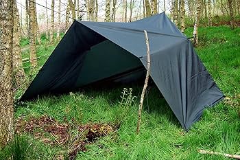 81MauJ5Uz2L._AC_UF350,