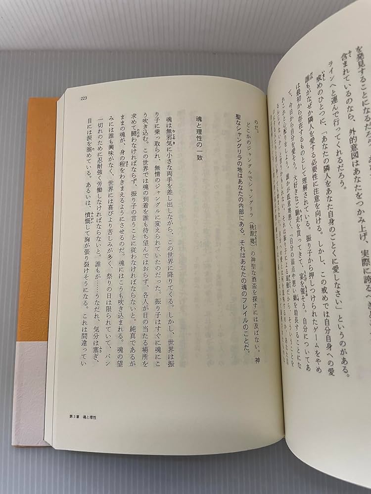 リアリティ・トランサーフィン 2: 願望実現の法則 | ヴァジム