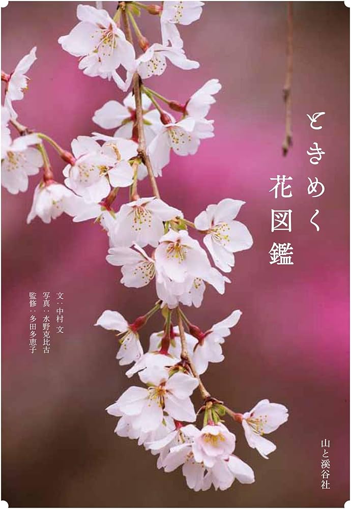 ときめく花図鑑 | 中村 文, 多田多恵子, 水野 克比古 |本 | 通販 | Amazon