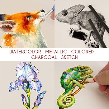 74-Piece Drawing Set - Beginner or Professional Tool Set, Pencil