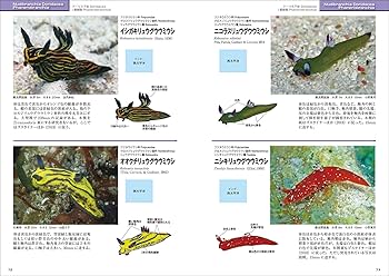 新版 ウミウシ (ネイチャーウォッチングガイドブック) | 篤司, 小野