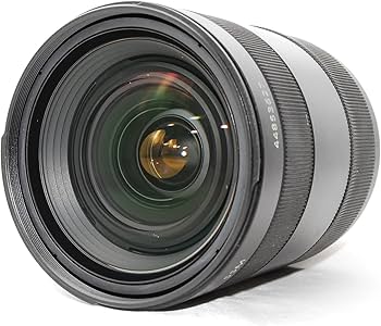 Amazon.co.jp: SONY 標準ズームレンズ Vario-Sonnar T* 24-70mm F2.8