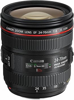 Amazon.com : Canon EF 24-70mm f/4.0L is USM Standard Zoom Lens