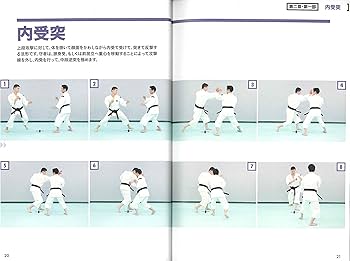 少林寺拳法 剛法の秘密 DVDでよくわかる! | SHORINJI KENPO UNITY