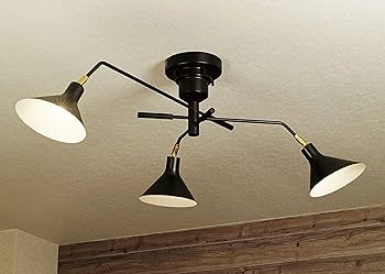 Amazon.co.jp : インターフォルム シーリングライト LT-9520BK ロネ