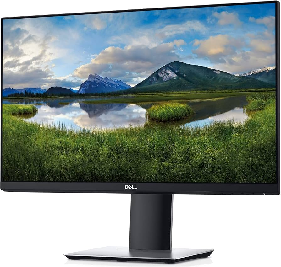 Amazon.com: DELL 23in PROFESSIONAL P2319H 1920X1080 IPS LED-LIT