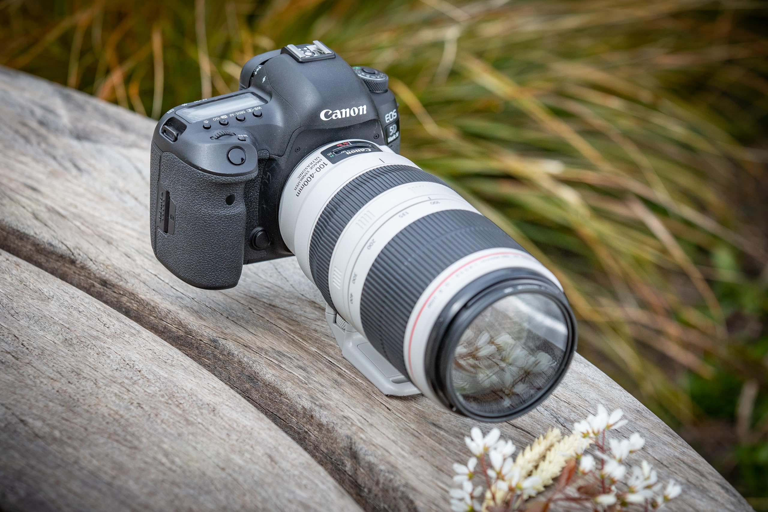 Amazon.co.jp: Canon EF 100-400mm f/4.5-5.6L IS II USM : Electronics