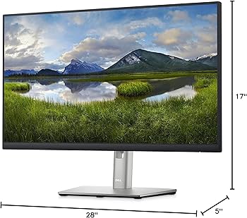 Amazon.com: Dell 24 Monitor - P2422HE - Full HD 1080p, IPS