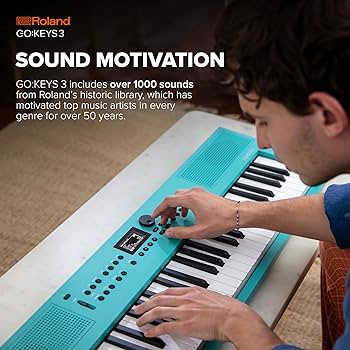 Amazon.co.jp: Roland ローランド 電子キーボード GOKEYS3-RD 61鍵盤