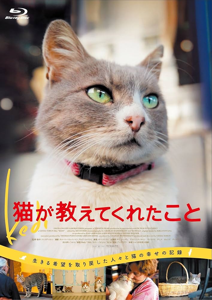 Amazon.co.jp: 猫が教えてくれたこと Blu-ray : ドキュメンタリー映画