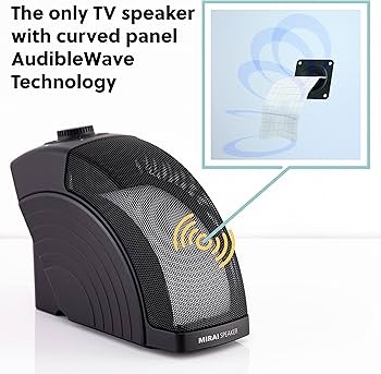 Amazon.co.jp: ミライスピーカー DAC : 家電＆カメラ