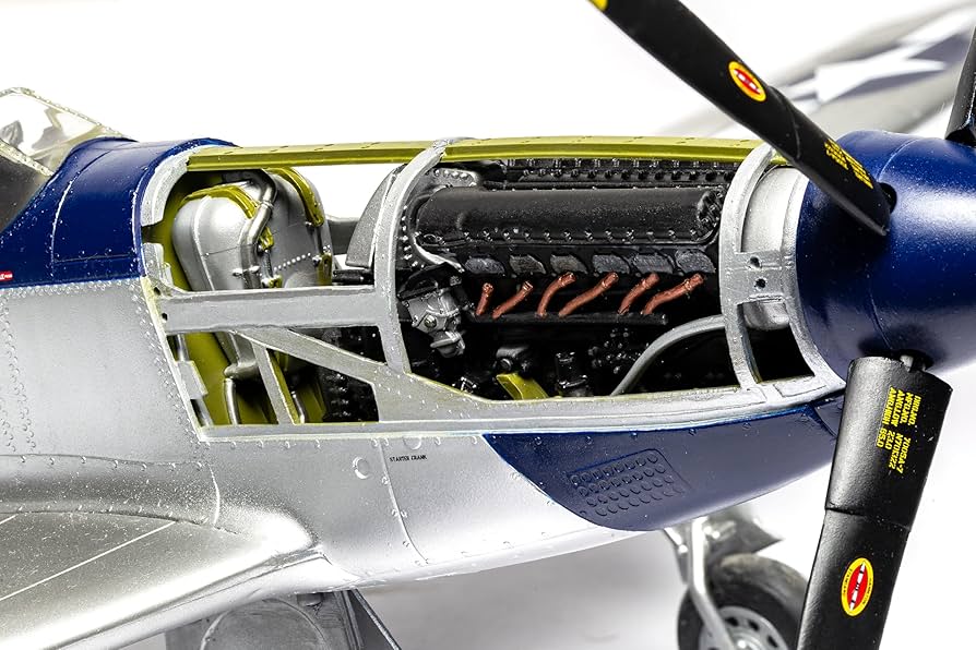 81UAf0+ioqL._AC_UF894,