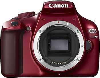 81UO5a-2l4L._AC_UF350,