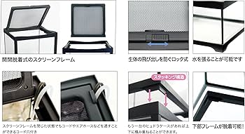 Amazon | コトブキ ヒュドラケース3120 | Kotobuki | 飼育ケース