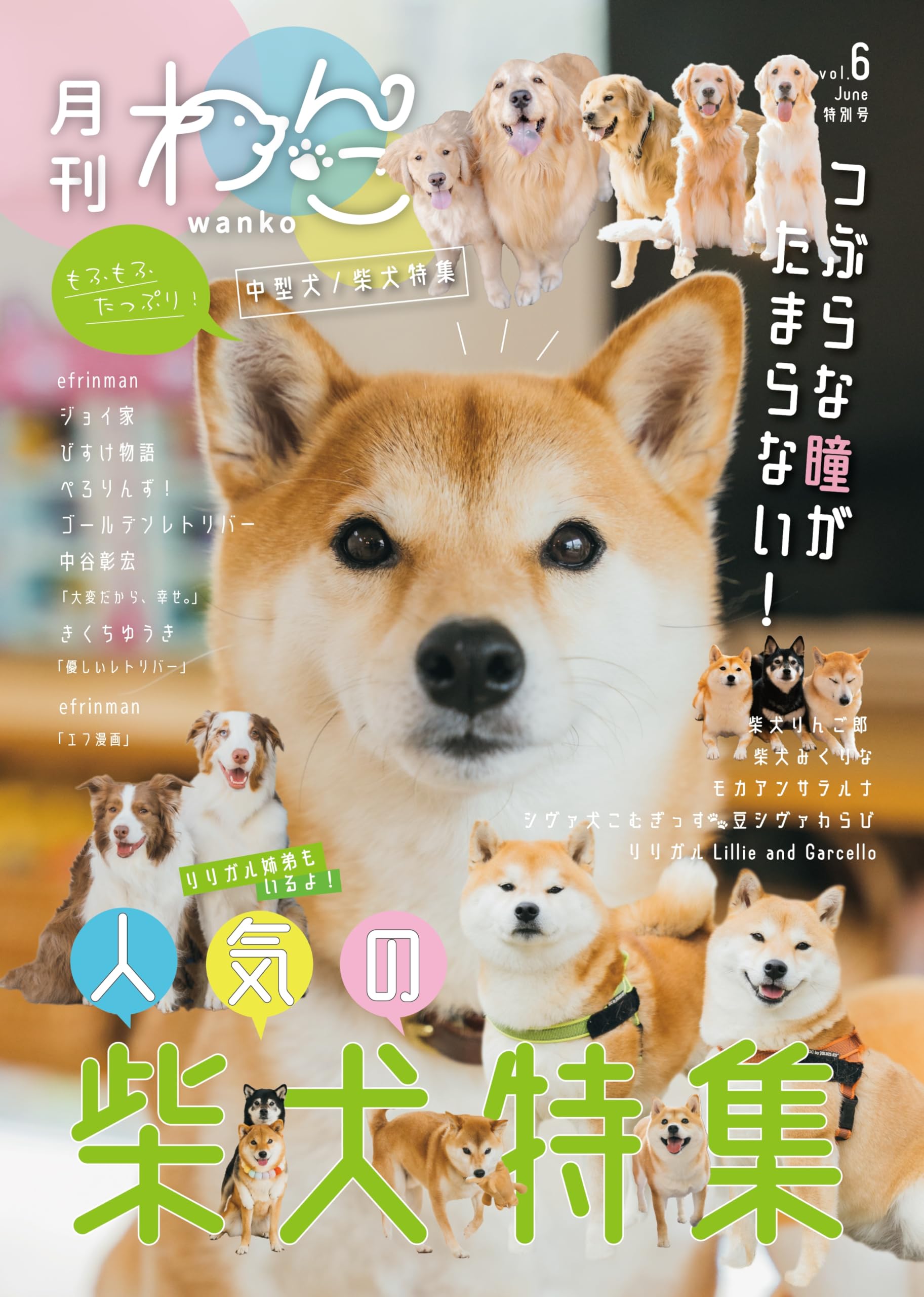 月刊わんこ vol.6 特別号「中型犬／柴犬特集」 | 月刊わんこ編集部 |本