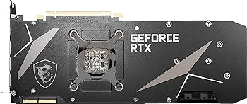 Amazon.com: GIGABYTE MSI Gaming GeForce RTX 3090 24GB GDRR6X 384