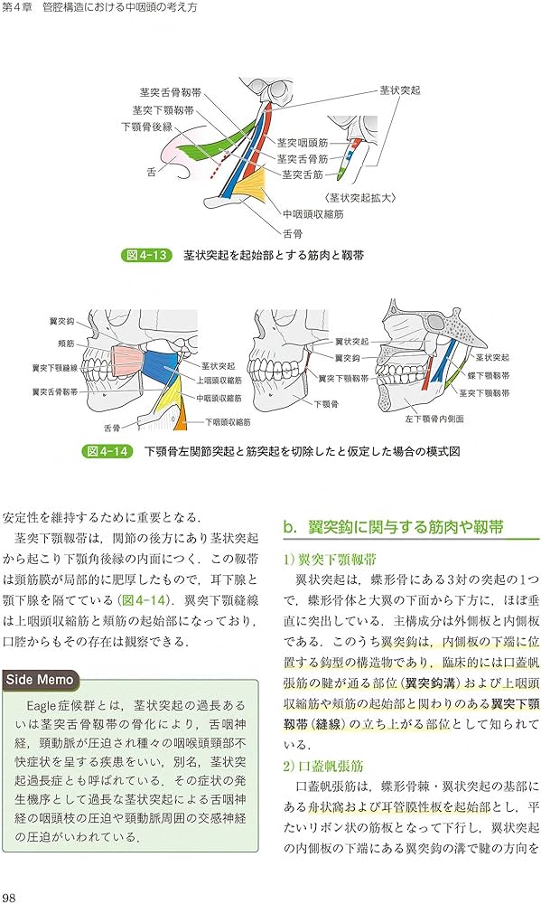 頭頸部外科診療に役立つ 頭頸部管腔構造の理解 | 西嶌 渡 |本 | 通販