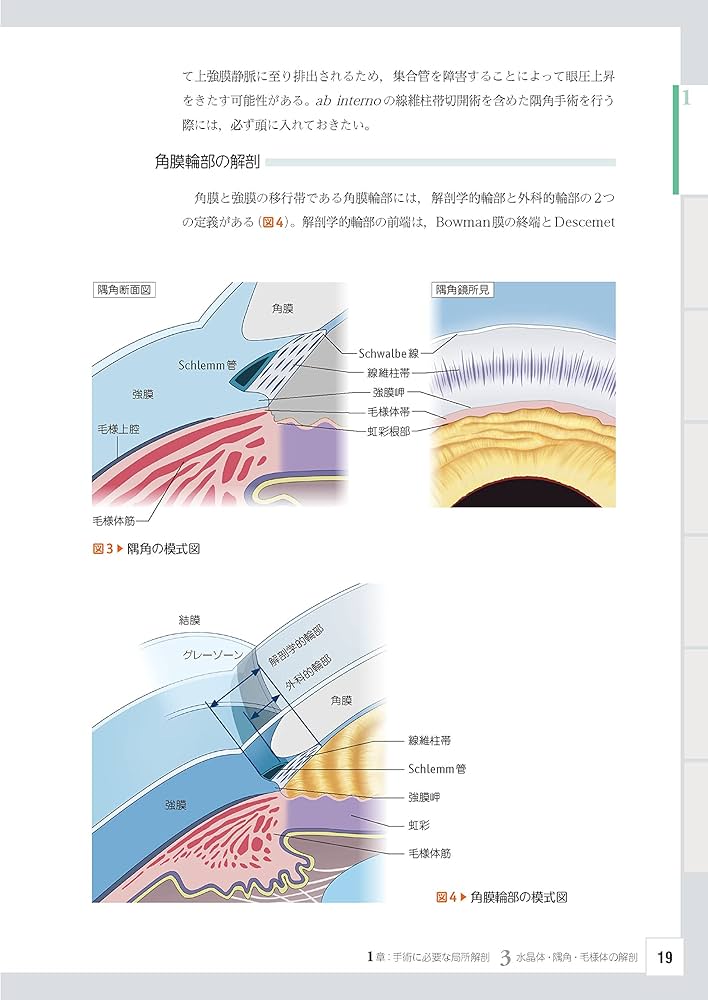 眼科レジデントのためのベーシック手術 ─ 電子版付 ─ | 谷戸正樹 |本