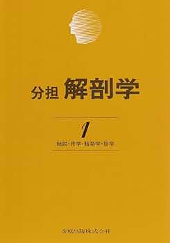 81WXog++NQL._AC_UF350,