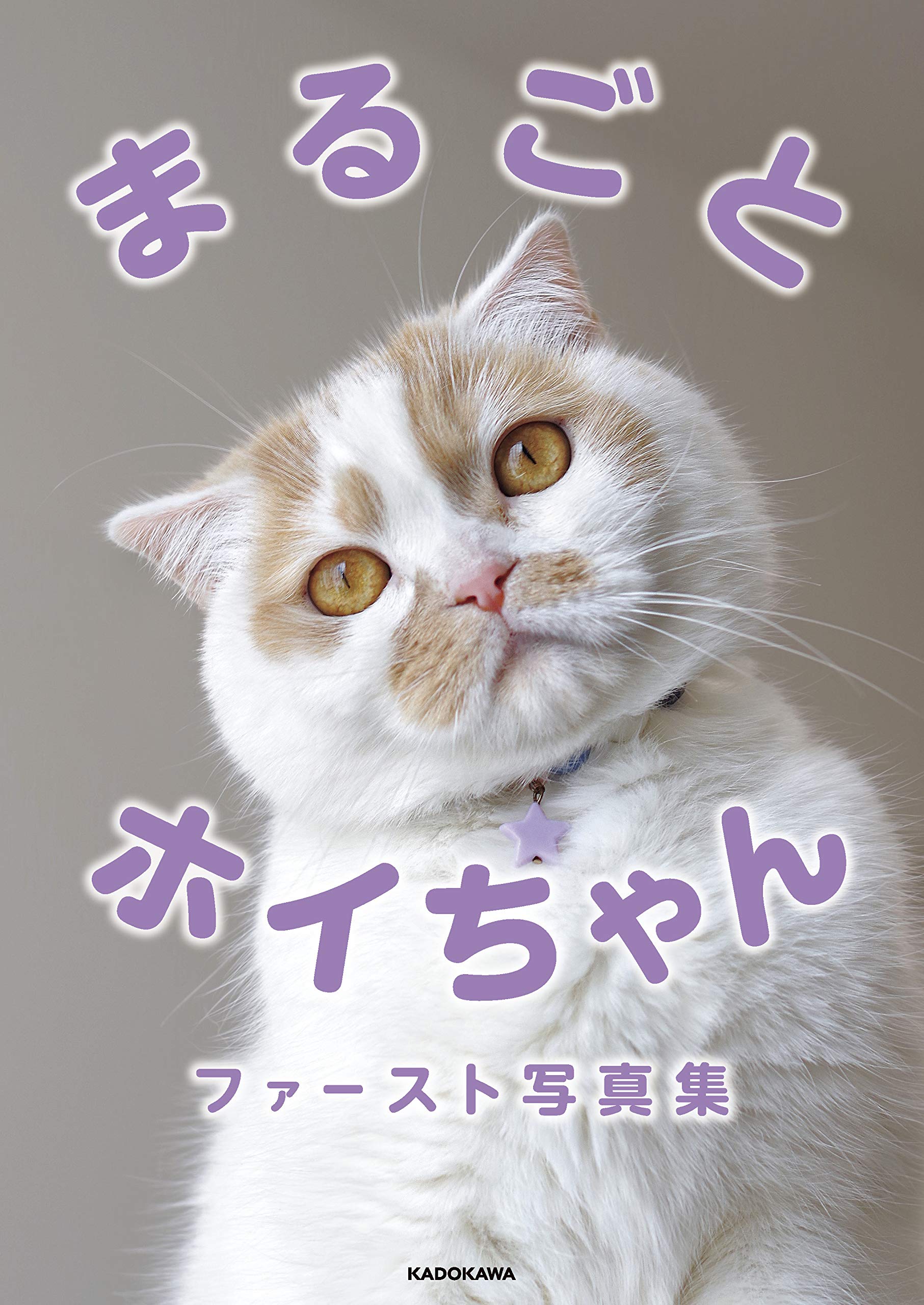ねこ休み展」スピンオフ公認! まるごとホイちゃん ファースト写真集